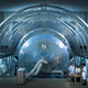Image for article titled The Future of Particle Physics Is Bright, Bleak, and Magical